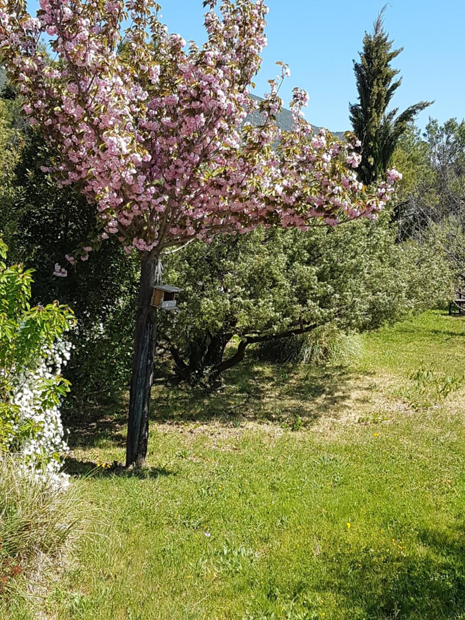 Lou Pic Au Loup De Charme Casa vacanze *